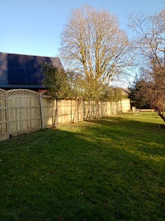 Oundle fencing (24)